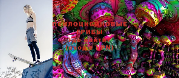 гидропоника Алзамай