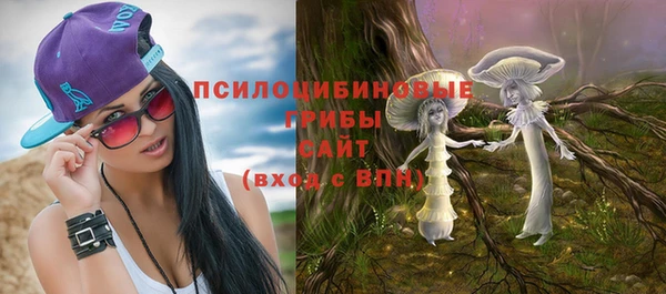 кокс Алексин