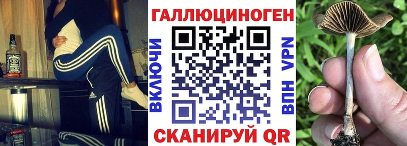 Галлюциногенные грибы мицелий  Дно 